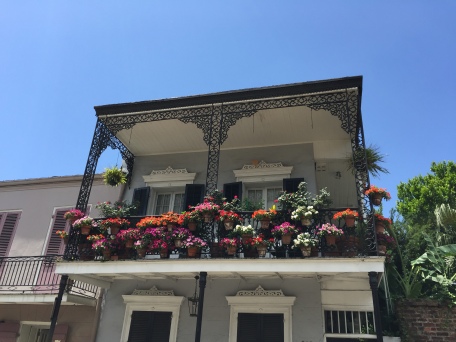 And many houses had beautiful hanging gardens covering their balconies.